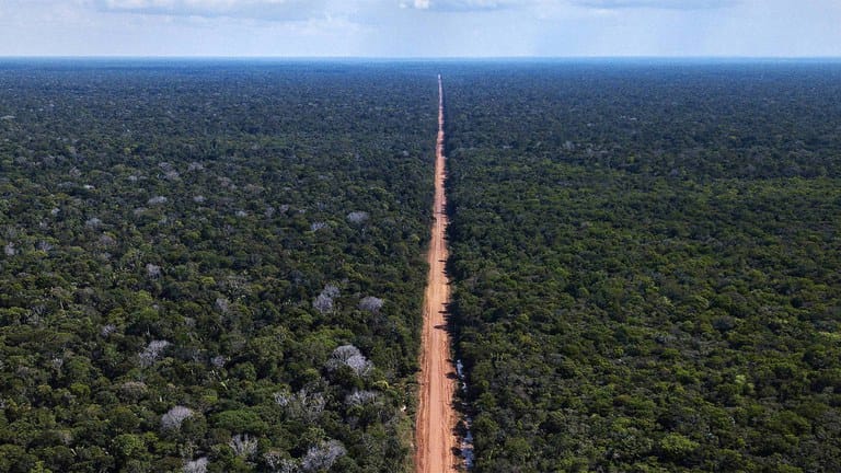 Justiça atende a pedido de ONG e suspende asfaltamento da BR 319