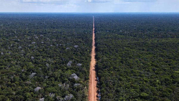 Justiça atende a pedido de ONG e suspende asfaltamento da BR 319