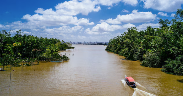 “NASA diz que Brasil será inabitável": uma fake news direcionada contra a Amazônia