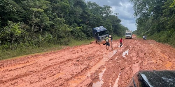 Justiça nega recurso da AGU  sobre a suspensão de obras na BR-319